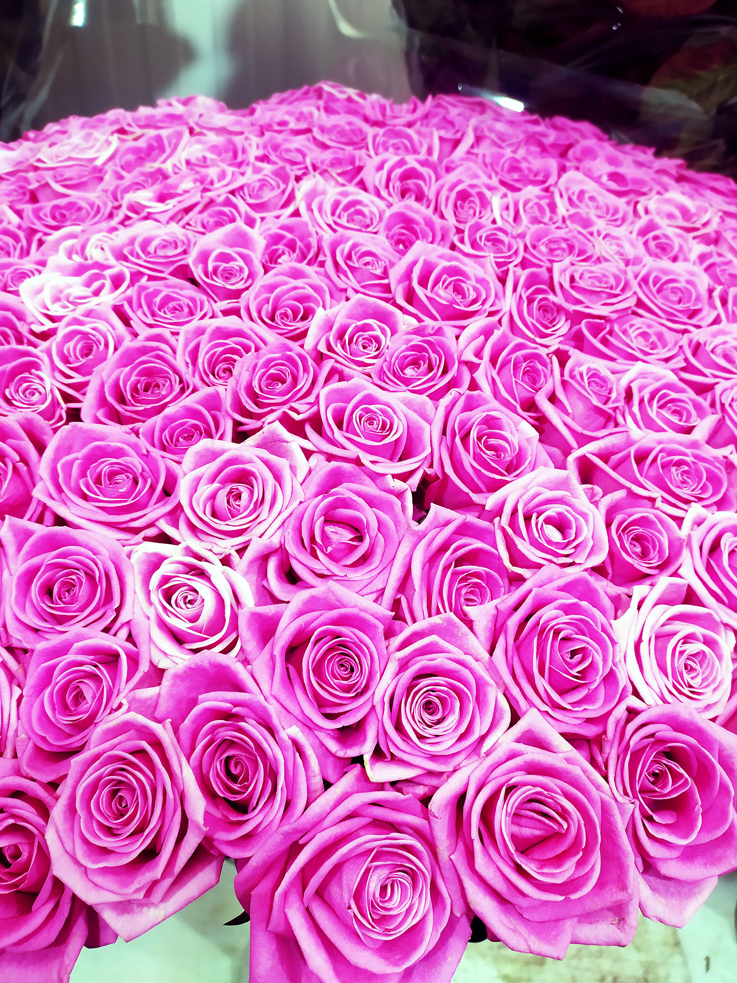 Роза Аква в Одинцово | Бесплатная доставка от 3500 руб.